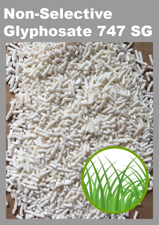 Glyphosate - Product Image