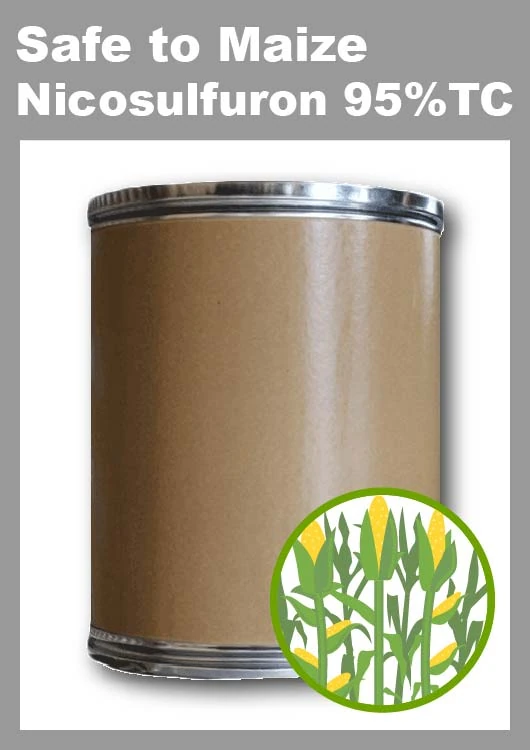 Nicosulfuron - Product Image
