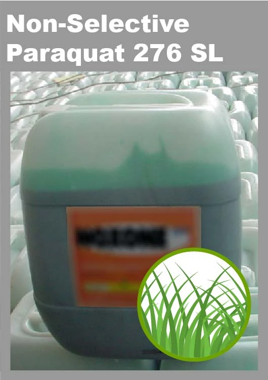 Paraquat - Product Image