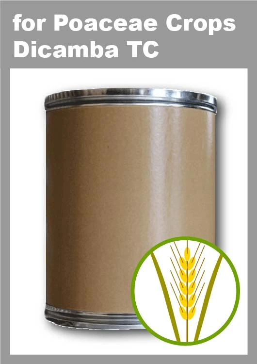 Dicamba