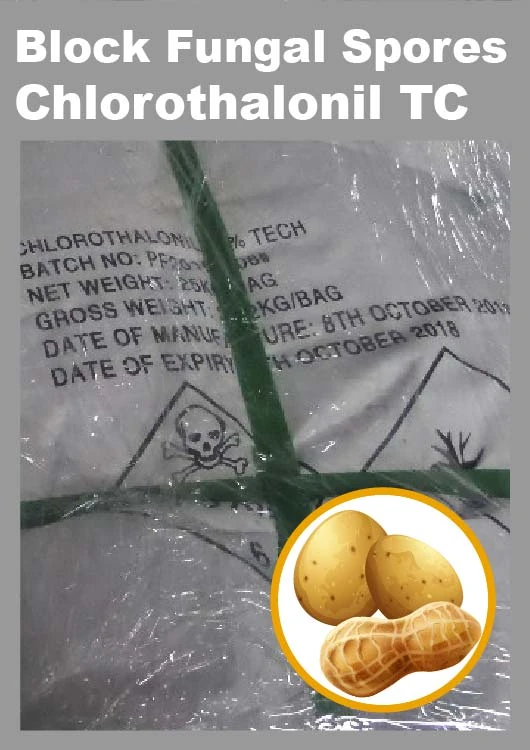 Chlorothalonil