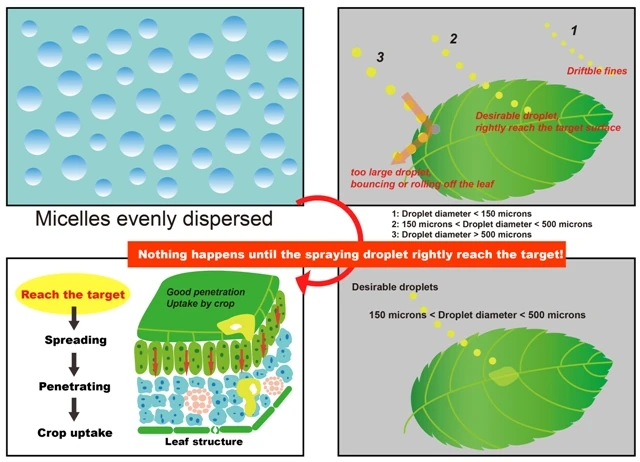 Pro-ATD N mechanism: enlarging droplet size, enhancing deposition, adhesion, wetting, and penetration for effective aerial spraying