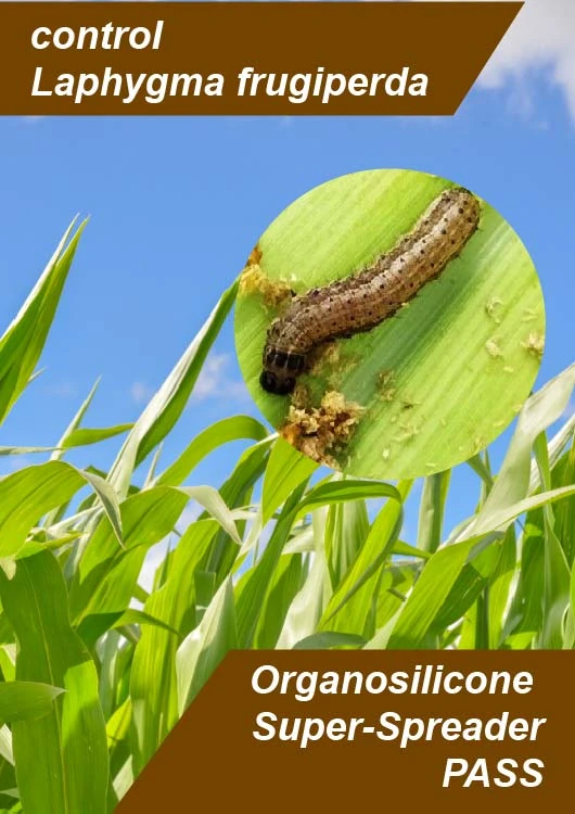 Using PASS super spreading adjuvant with insecticides for better coverage and uptake in agricultureLaphygma Frugiperda