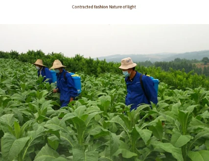 Farmer applying Beauveria bassiana biological insecticide on tobacco field, controlling pests like caterpillars and aphids
