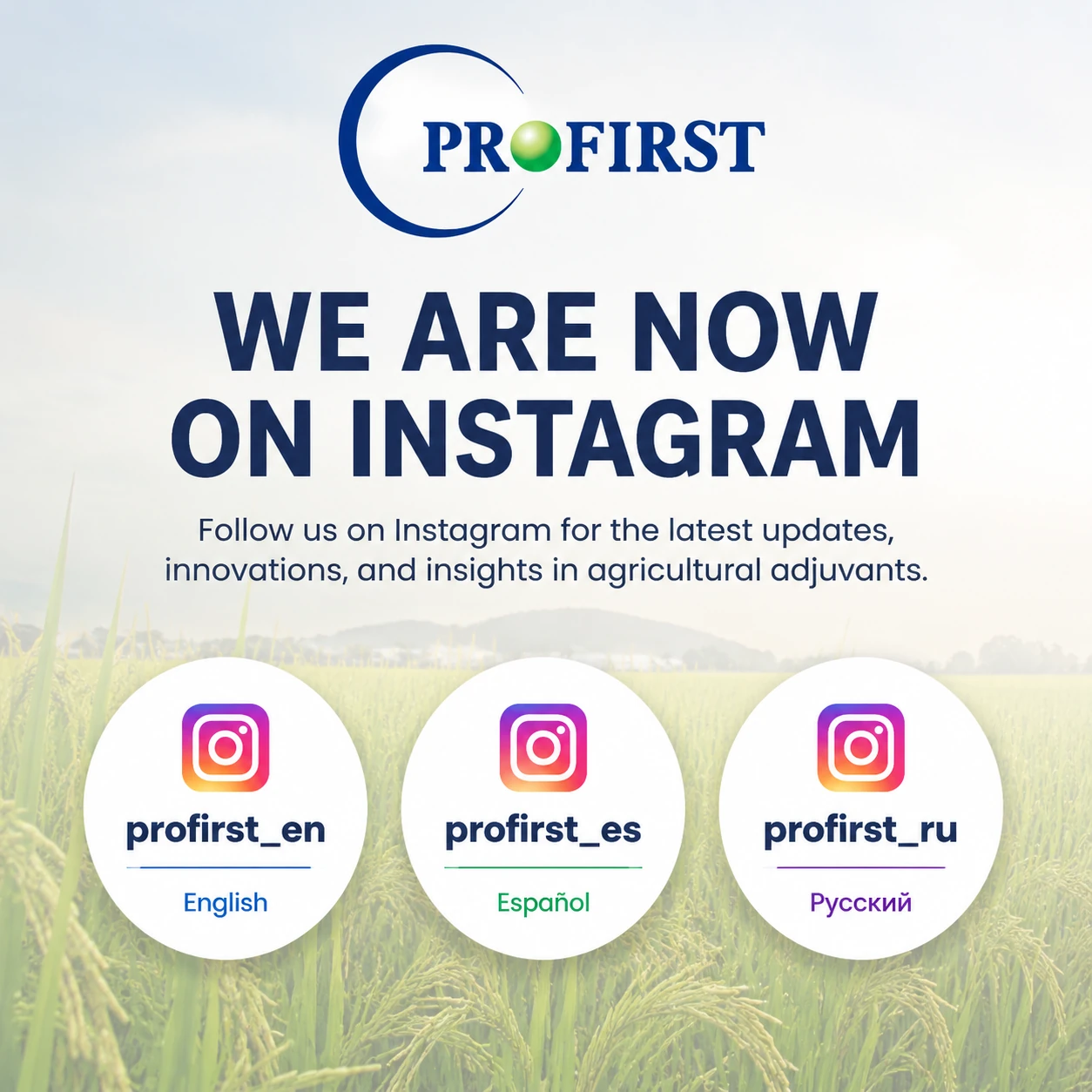 Profirst anuncia el lanzamiento de tres canales de Instagram