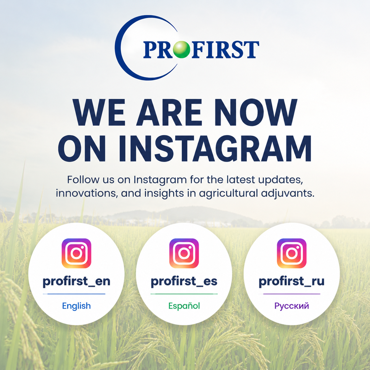 上海先为开通Instagram频道，更好地服务全球客户
